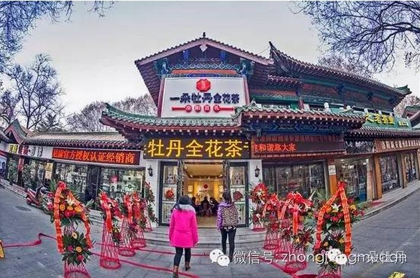 少时诵诗书.JPG